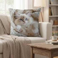 Cute Ragdoll Kitten Pillow Cover Realistic Blue Eyes Cat Print Cozy Fluffy Kitten Cushion Case For Sofa Bed Couch Home Decor Short plush 18*18(CM)-1Pcs gray