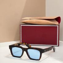 PALM JACQUES Tarptautinės prekybos užsakymas Prabangūs dizainerio FOTOCHROMINIAI akiniai nuo saulės JMM MOLINO molino Tortoiseshell blue beige