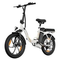 ZAZAWORK C16 City e-bike 250W motor 48V 16Ah battery 20x3-inch tires hydraulic brakes 120kg maximum load. balta
