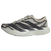 ADIDAS PERFORMANCE Bėgimo batai 'Adizero Evo SL Exo' pilka / antracito spalva / juoda