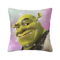 Individuali Fionos ir Šreko juokinga pagalvės dekoracija Mielos animacinių filmų, Disney, anime pagalvės sofai Kvadratinė pagalvės užvalkalas 20x20Inch