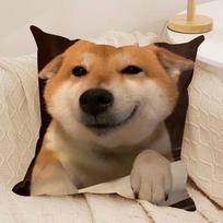 Mielas Shiba Inu pagalvės užvalkalas Minkštas pliušinis audinys Dvispusis spausdintas sofos pagalvės užvalkalas Visiems sezonams Namų dekoras Dovana 30cmx30cm brown