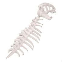 3D Dinozauro skeleto kostiumas Helovinui, Kalėdoms Ir Realistiškiems Pasirodymams balta
