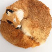 Real Fur Simulation Sleeping Fox Animal Feng Shui Office Accessories Car Ornaments Home Decoration Accessories Miniature Figures