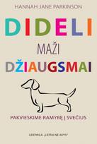Dideli maži džiaugsmai. Pakvieskime ramybę į namus (knyga su defektais) - Hannah Jane Parkinson