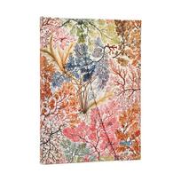 Paperblanks 2027 Anemone Diary, Hardcover, Midi, DJ2247-4 beige