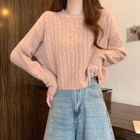 Petite Women's Korean Cable Knit Long Sleeve Base Layer Top beige