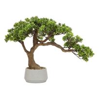 Polin Ornamental Bonsai Tree 45cm