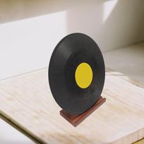 Vinilo įrašų laikiklis, žurnalų ir albumų saugojimo sprendimas tamsiai ruda spalva