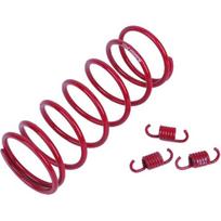 Glixal GY6 150cc High Performance Racing Clutch Torque Spring (1000RPM) 2000RPM