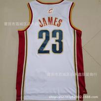 Vintage Embroidered Basketball Jersey Tank Top LeBron James High School Style 23 Black Red Blue Orange Large