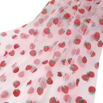 Portable Strawberry Mesh Fabric for Outdoor Clothing and Craft Projects