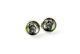 Cane Corso, Italian Cane Corso - earrings your photo handmade, own photo, jewelry from the Art.-Dog brand sidabras