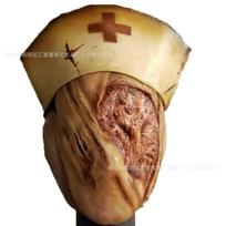 Silent Hill Bekiaukštė Slaugytoja Cosplay Kaukė Siaubo Kraujuota Latekso Helovino Kostiumas Galvos Apdangalas as shown in the picture beige