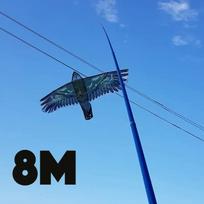 Kotas 8M aitvarui