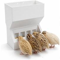 Wall Mount Automatic Quail Feeder, Anti Spill Feed Dispenser , Easy Refill Clean Cage Feeder for Brooder Breeding Grow Out Cages balta