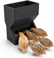 Wall Mount Automatic Quail Feeder, Anti Spill Feed Dispenser , Easy Refill Clean Cage Feeder for Brooder Breeding Grow Out Cages juoda
