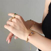 Colorful Zircon Clavicle Choker: 2024 Titanium Steel Women's Necklace, High-End Niche Design brown