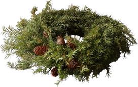 Botane Vainikas Botane pušis 40 cm, tamsiai žalias