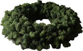 Botane Vainikas Green Moss 40 cm