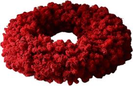 Botane Vainikas Red Moss 40 cm