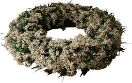 Botane Vainikas Whisper Meadow 40 cm