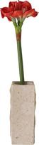 Botane Dirbtinė gėlė Botane amarilis 73 cm, oranžinė