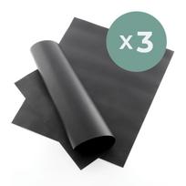 Pack Orkaitės ir kepsninės kilimėliai (x2) InnovaGoods (3 vienetai)