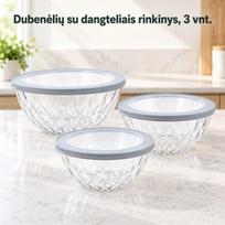 Plastikinių maisto laikymo indelių rinkinys su dangteliais 3 vnt.
