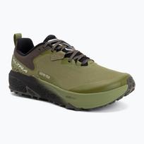 Vyriški bėgimo batai Altra Timp 6 GTX Iguana/Silver
