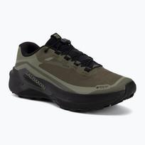 Vyriški bėgimo batai Salomon Genesis 2 GTX grape leaf/black