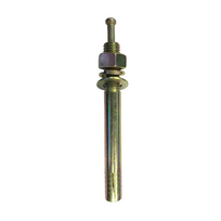 ⬡ Inkarinis varžtas M18x2,5 L=160 mm (PLX002406, PULI)