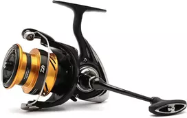 Ritė limituoto leidimo DAIWA Ninja BG 24 LT 4000-C