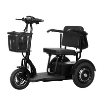 Elektrinis sulankstomas triratis motoroleris M8, 0,5kW 12AH Ličio jonų eMOTO