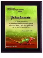 Plastikinis diplomas su spalvota lietimui jautria laminuota danga