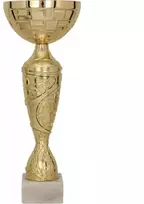 Auksinis metalinis puodelis TANGA