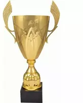 Auksinis metalinis puodelis 4126F