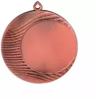Bronzinis medalis su vieta 50 mm ženkleliui - plieno medalis