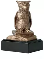 Lietos figūrėlės mokyklai - pelėda - mokymasis RTY630/BR