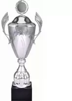 Auksinis metalinis puodelis su dangteliu 4127/CP