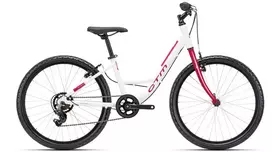 Dviratis CTM Missy 24''