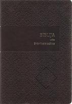Biblija arba Šventasis Raštas. Ekumeninis leidimas