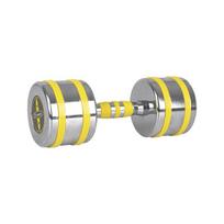 Chromuotas svarmuo inSPORTline Yellsteel 12 kg