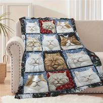 1pc Cat-Patterned Plaid Blanket, for family And Friends Gift Blanket, Nap Blanket, Throw Blanket, Sofa Blanket, Multi-Purpose Camping Blanket 150X220CM gray