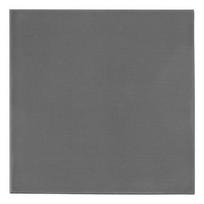 Thermal Grizzly Minus Pad extreme 2 - 100x 100x 2.0 mm (gray)