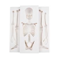 Skeleton Halloween Skeleton Body Silicone Molds Fondant Cake Decorating Tools Sugarcraft Candy Clay Chocolate Gumpaste Mold white