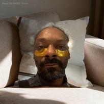 S-Snoop D-Dogg Pillowcases Bedroom Living Room Sofa Home Decor Polyester Cushion Cover with Zipper 30cmx30cm gray