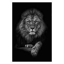 Juoda ir balta laukiniai gyvūnai Liūtas Plakatas Drobė Tapyba Sienos Menas Nuotraukos Namų kambario dekoras 20x30cm black