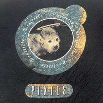 Pixies Doolittle 20th Anniversary 2009 Reunion Tour T-Shirt Size XL Deadstock Unisex T-Shirt S beige