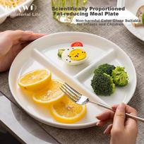 Bamwoo Life Portion Control Plate 211 Ceramic Weight Loss Meal Plate High Value Three Compartment Breakfast Plate